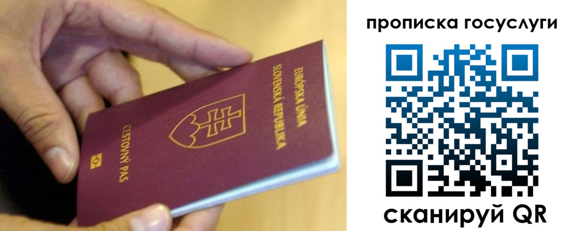 прописка для школы в Твери